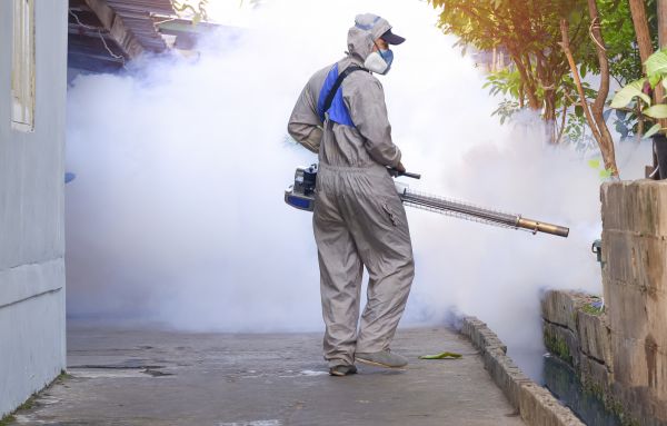 Mosquito Control Service in Dallas