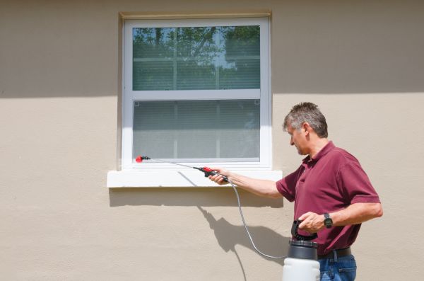 Outdoor Pest Control Service in Dallas