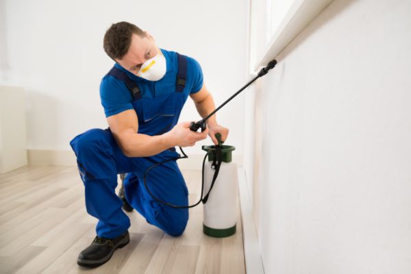 Pest Extermination Service in Dallas