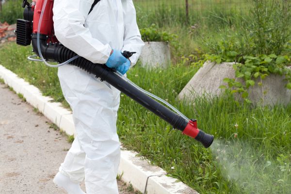 Yard Pest Control Service in Dallas